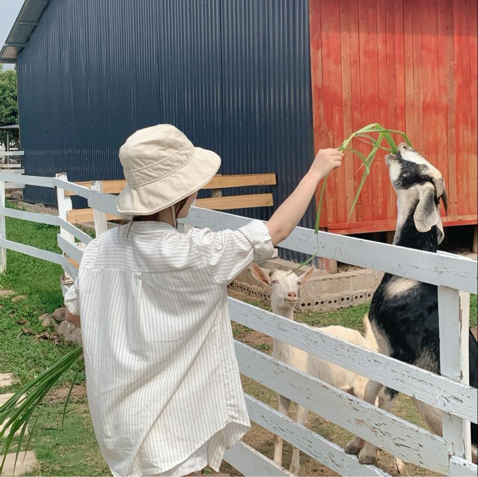 Đánh giá của khách hàng