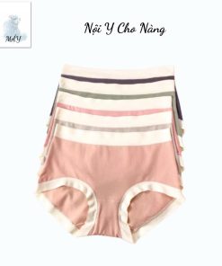 Quần lót nữ cotton cạp cao gỗ sồi