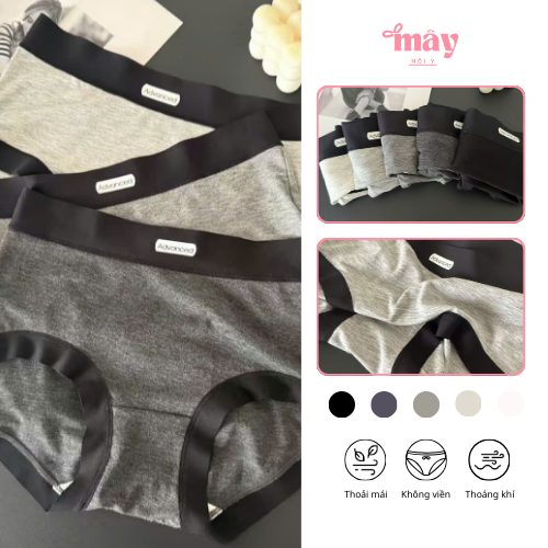 Set 5 Quần Lót Nữ Cotton Hàn Mềm Mại Co Giãn 4 Chiều